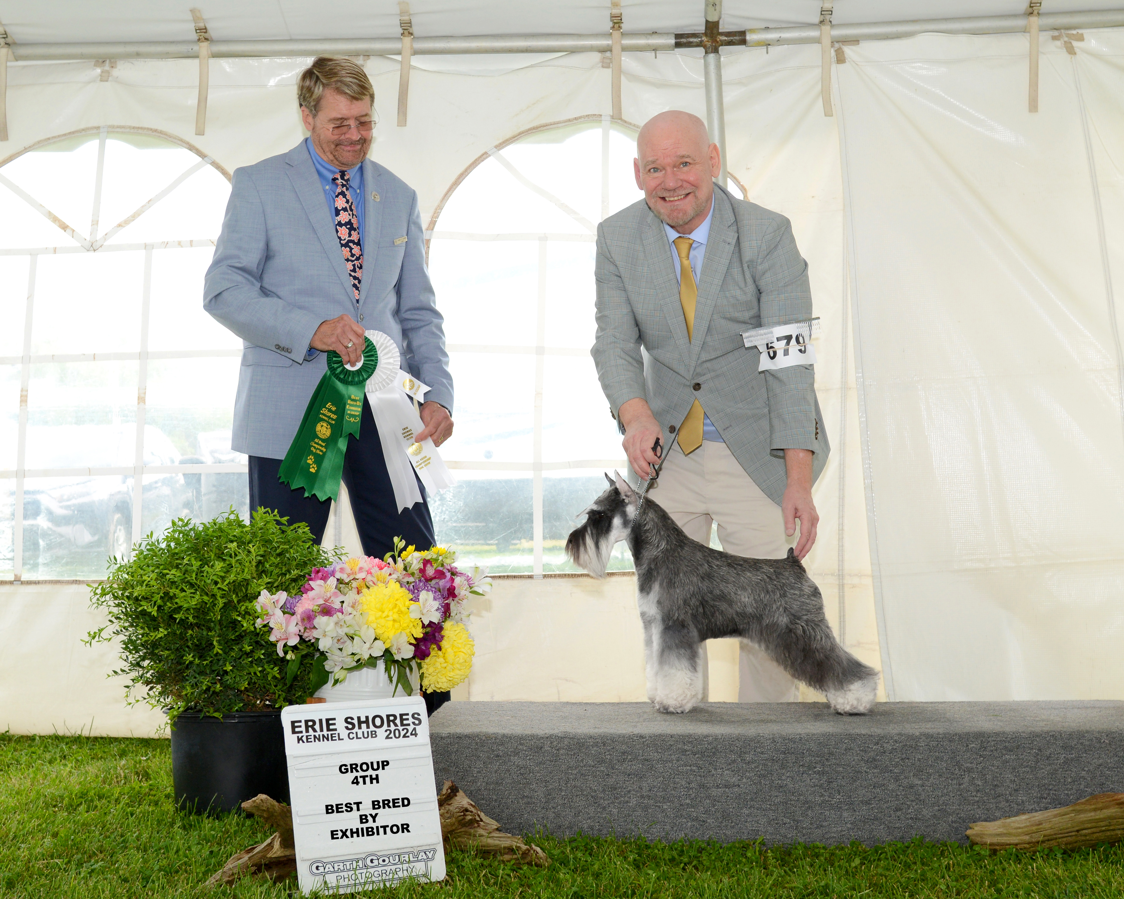 Champion ‘Buster’: 2nd Ranked Miniature Schnauzer in Canada and Sire of Our Champion Eema’s Puppies